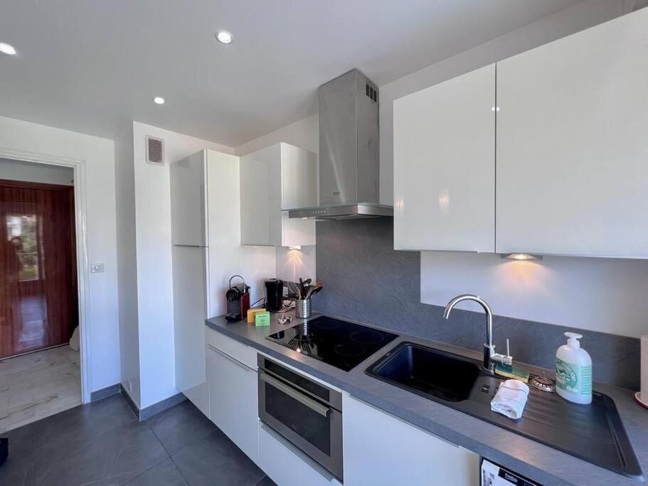 Le Pinede - Apt 4 Prs- Parking - Clim - 500M Plages Αντίμπ Εξωτερικό φωτογραφία